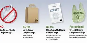 Image of California's Bag Ban: A Wave of Change for a Plastic-Free Future