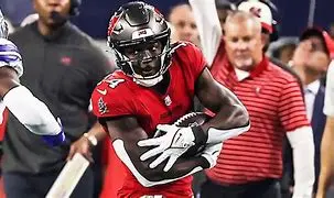 Image of Chris Godwin: The Rise of a Star Wide Receiver