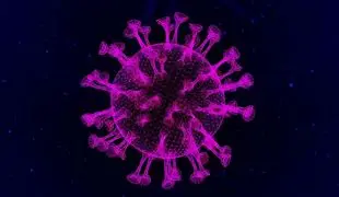 Image for COVID XEC Variant: Symptoms, Precautions, and What You Need to Know