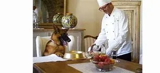 Image for Gunther: The World's Richest Dog - From TV Star to Multi-Millionaire