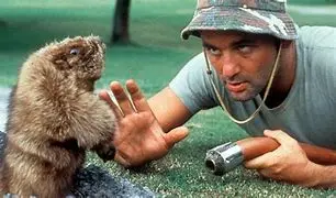 Image for The Ever-Elusive Charm of Bill Murray: A Comedy Icon's Journey