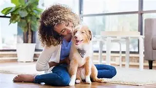 Image for The Ultimate Guide to Bringing Home a Baby Dog: Puppy Care, Training, and Love