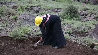 Image for Yemen: The Untold Story of Beauty, Resilience, and a Forgotten Crisis